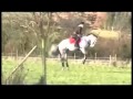 Mega Horse Fails and Bloopers (Big Rears,Big Bucks,BIG EVERYTHING!)