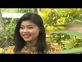 ទឹកប្រាក់បីលាន ឡោ សារិត mv hd rhm gallery