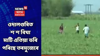 Assam News Updates || গাওঁ-চহৰ জিলাৰ খবৰ : ওদালগুৰিত শ শ বিঘা মাটি এতিয়া ভৰি পৰিছে তৰমুজেৰে