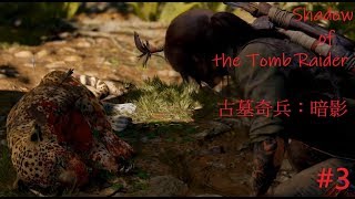 【NIL】PS4 PRO-古墓奇兵：暗影 Shadow of the Tomb Raider #3 還敢出來啊!喵星人!