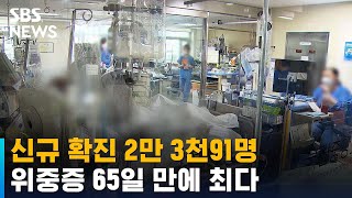 신규 확진 2만 3천91명…위중증 65일 만에 최다 / SBS