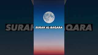 SURAH AL-BAQARA |Ayaat 15-18| Recitation by Mishary Rashid Alafasy | Islam The Heavenly Path