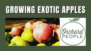 Growing Exotic Apple Trees on Through The Garden Gate