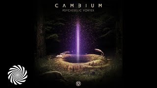 Cambium - Infinity