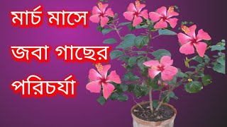 গরমের শুরুতে এই কাজ গুলো করতেই হবে।#youtube #youtubevideos