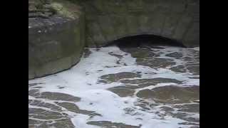 Failure of Network Rail tidal gates on River Winster