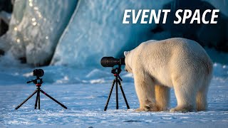 Wildlife Photography Around the World from the Arctic to Antarctica | B&H Event Space
