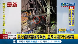 #三立最新 台電公司變停電公司? 鳥叼鐵絲電線桿築巢釀台北內湖3千戶停電民眾怒\