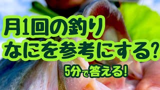 【5分で答える】月1回の釣り、なにを参考にする？【琵琶湖バス釣り】