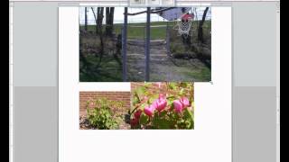 How to make a contact sheet