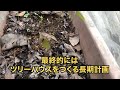 どんぐりの芽が出た！独身山暮らしpart61