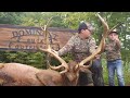 dominant buck outfitters