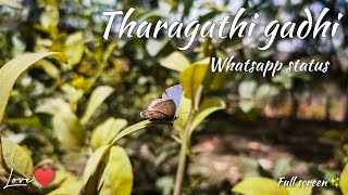 Tharagathi gadhi | colour photo | Tharagathi gadhi Full screen  whatsapp status | telugu trending |