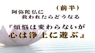 【中級】阿弥陀仏に救われたらどうなる「煩悩は変わらないが、心は浄土に遊ぶ」（前半）