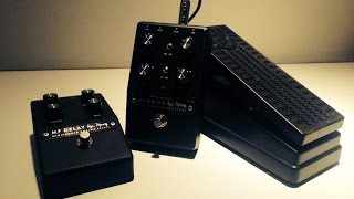 Moog MF Drive and Delay, demo by Pete Thorn