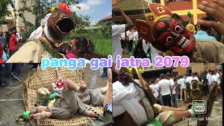 panga gai jatra 2079 part1 @RonitMaharjanofficial