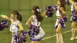 20140726 斜め後ろからPassion（東京ヤクルトスワローズ）の「We Are The Swallows」