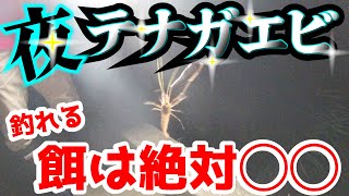 【テナガエビ釣り】餌はコレで決まり！寄せと食いつきが違う！アラフィフ夫婦が夜テナガエビをこっそり調査！千葉 江戸川