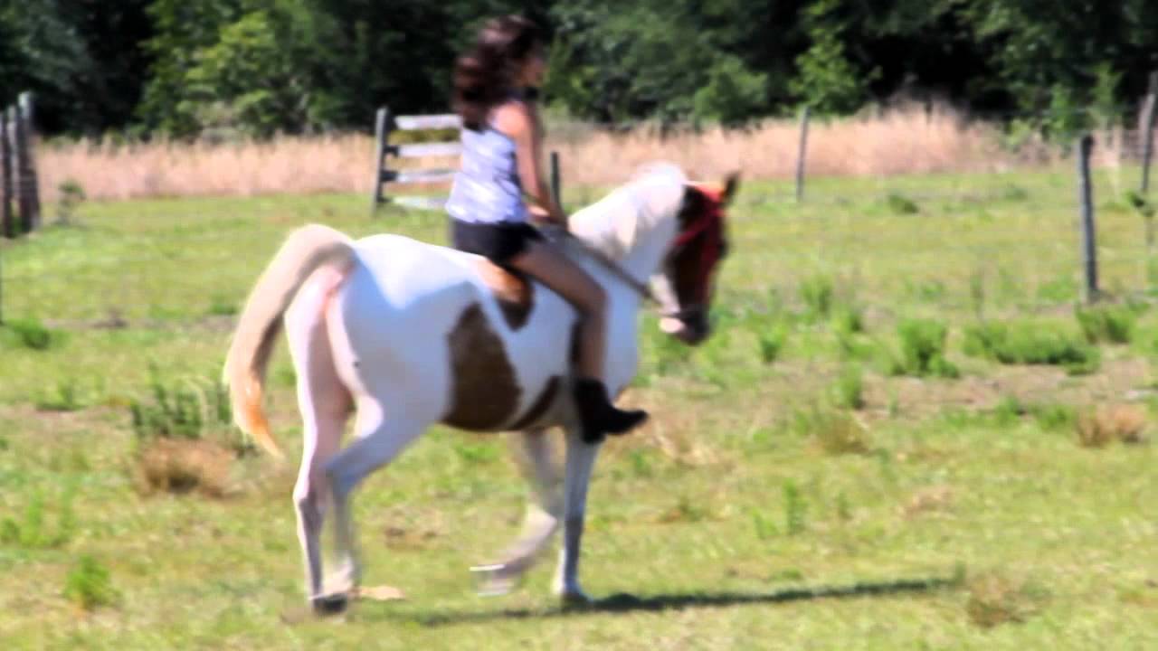 Bareback Riding Youtube