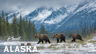 Exploring Alaska | A Vast and Untamed Wilderness Where Nature Still Rules Everything