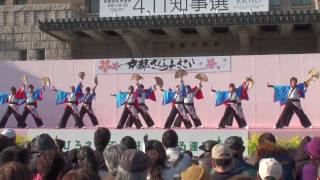 華鹿　～第６回 京都さくらよさこい(京都市役所前広場会場)