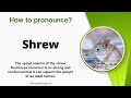 How to pronounce Shrew in English correctly