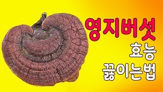 영지버섯효능 영지버섯 끓이는법 알아보겠습니다. 영지버섯 효능 효과