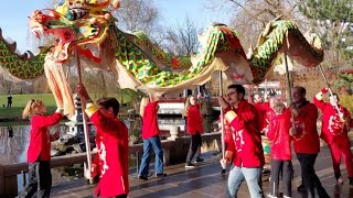 Dragon dance - Chinese New Year 2024 in the Gardens of the World Berlin / 德國柏林中國庭園過年 傳統舞龍