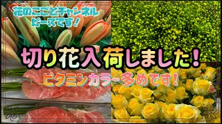 【花屋】新鮮なお花入荷しました！今！黄色系が人気なのか！？#248