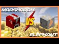 Mooshroom Cow Vs Elephant Pet Garden 1.5 Hypixel Skyblock!