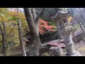 【nmax125】紅葉を求めて🍁国道１６６号線へ🛵途中ダートの峠道へ😅山の上からの景色は…