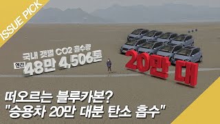 떠오르는 블루카본? ＂승용차 20만 대분 탄소 흡수＂ [이슈픽]