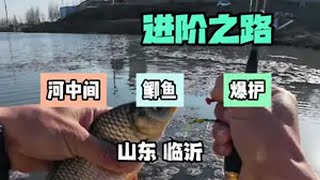 没想到，河中间的水草里，竟然这么多鱼！冬天总要出门钓一次鱼吧 在冬日阳光下钓个鱼吧 龙王恨南极磷虾拉 光威 最适合冬天的冰钓来了