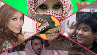 التمساح الحلقة ١٠١: الشربليه الارواويه | Temsa7LY