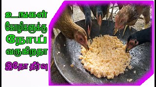 hen food making || kozhi unavugal || kozhi theevanam seimurai in Tamil | hen deceases and treatement