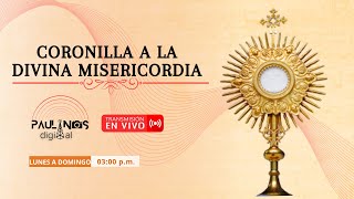 Es hora de orar con la Coronilla de la Divina Misericordia 11 de Noviembre