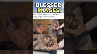 Blessed Images Are Amazing