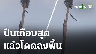 สวนสัตว์หลังบ้าน ตัวเงินตัวทองปีนต้นไม้ | 05-06-66 | ข่าวเที่ยงไทยรัฐ