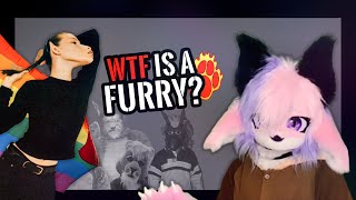 What is a Furry? Why am I one? A fandom deep dive