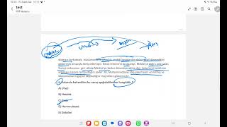 islam tarihi yaprak test