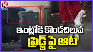 Huge Python Enters Into Kitchen At Mankamma Thota | Karimnagar | V6 News