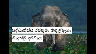 සද්ධාතිස්ස රජතුමා මගුල්අැතා බැදතිබූ දම්වැල | Aruna Namal