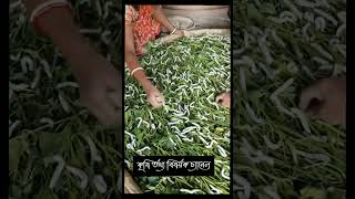 রেশম পোকা থেকে সুতো Resom poka#youtubeshorts #shortsfeed #shorts #youtubeindiashorts #sericulture