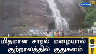 மிதமான சாரல் மழையால் குற்றாலத்தில் குதுகளம் | Courtallam Season