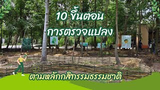 10 ขั้นตอนการตรวจแปลง ตามหลักกสิกรรมธรรมชาติ