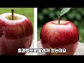 술 좋아하시는 분들은