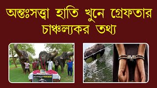 গর্ভবতী হাতি খুনে গ্রেফতার |