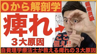 【痺れこの↓３つで消せる】０から分かる痺れの非常識な解剖学