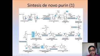 dr Asri - Metabolismu Purin