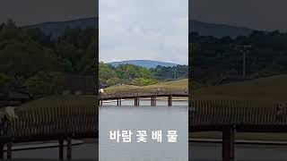 꽃 바람 물 배타고 순천만국제정원박람회 가볼까 #영탁 #살다보면 #shorts